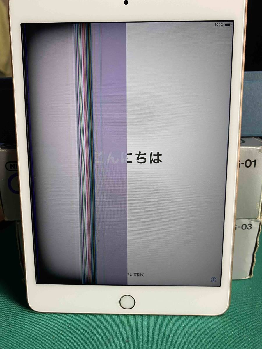 ジャンクiPad mini (第5世代・A2133)　ゴールド　64GB　Wifi アクティベーションロック解除済