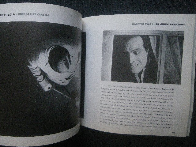 シュルレアリスム 実験映画 洋書 前衛 ルイス ブニュエル サルバドール ダリ アンダルシアの犬 ハンス リヒター マルセル デュシャン 監督 作品論 売買されたオークション情報 Yahooの商品情報をアーカイブ公開 オークファン Aucfan Com