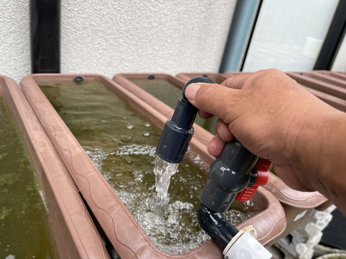 めだか屋ハーレー 楽ちん給水バルブ メダカ 金魚の飼育容器水槽の水換え時間短縮に 水槽 売買されたオークション情報 Yahooの商品情報をアーカイブ公開 オークファン Aucfan Com