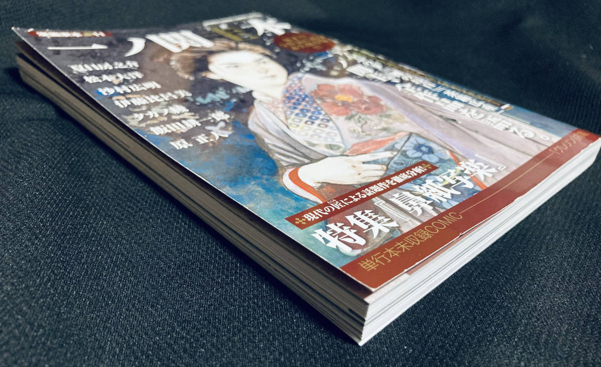 一ノ関圭 本 漫画家本vol.11 少年サンデーコミックスペシャル