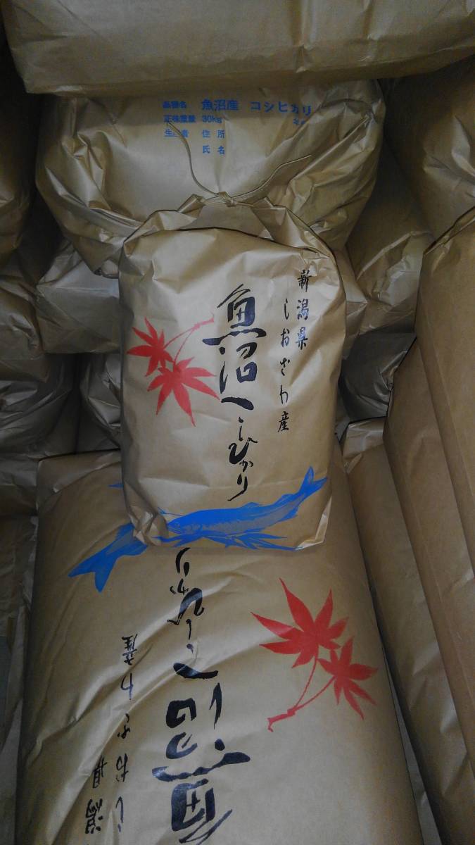 令和3年産新米 魚沼コシヒカリ「塩沢産」精米済白米5kg 送料込 お得です。