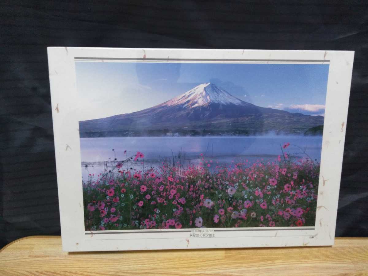未開封 富士山 秋桜 コスモス FUJI ジグソーパズル 1000ピース Jigsaw 