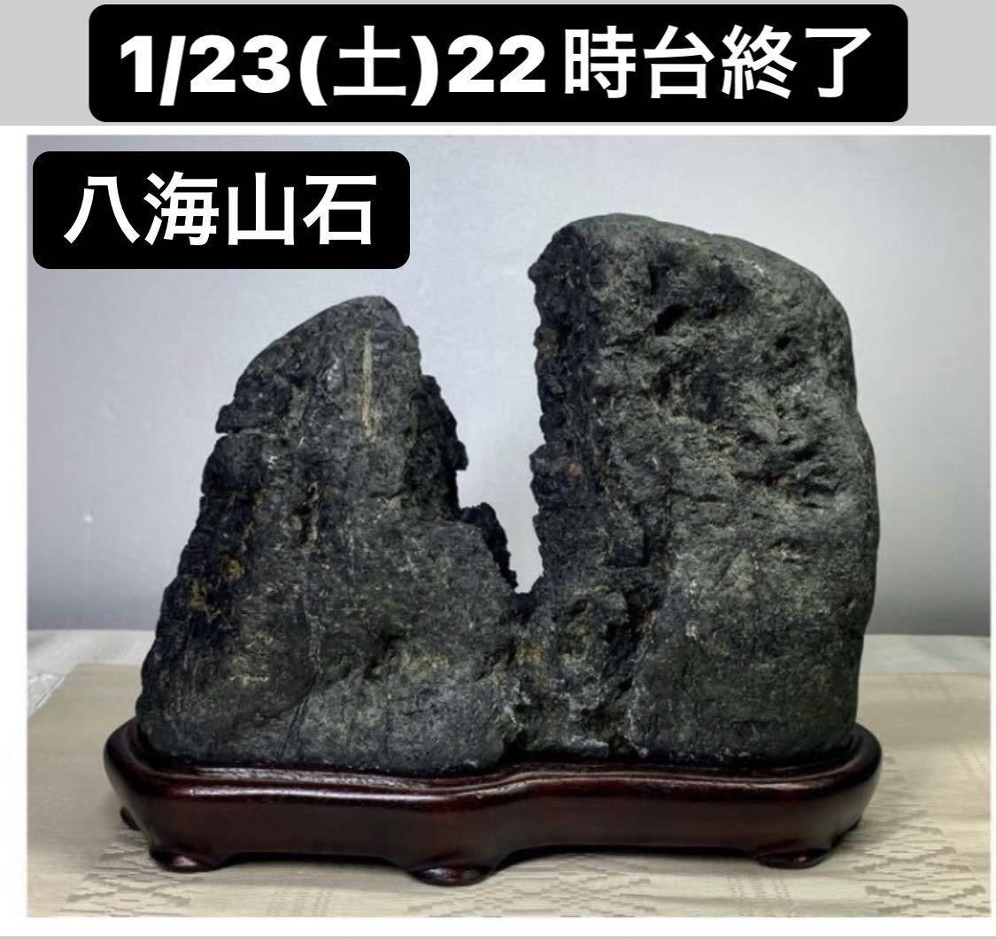 水石 太湖石 花、園芸 盆栽 【公式通販】