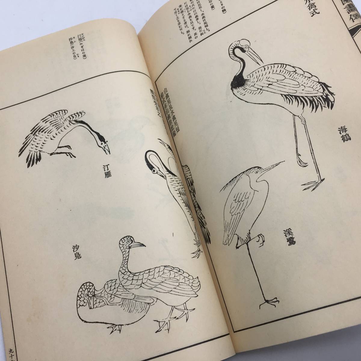 芥子園画伝　全13巻セット⠀小杉放庵⠀公田連太郎⠀水墨画 芥子園画伝 全訳 全13冊 概、小杉 放庵、 公田 【美術】全訳 芥子園
