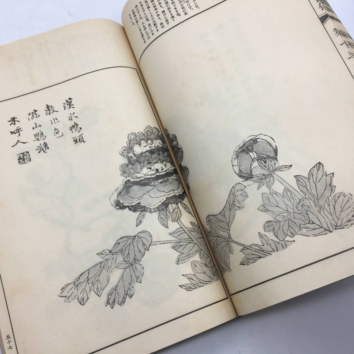 芥子園画伝 全訳 全13冊 概、小杉 放庵、 公田 【美術】全訳 芥子園