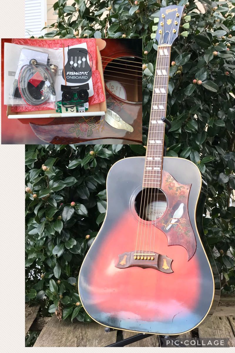 YAMAHA ヤマハ アコースティックギター FG-251B