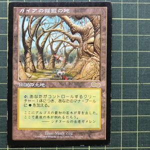 安価 擦れ 裏面傷アリ ガイアの揺籃の地 日本語 １枚 マジック ザ ギャザリング Qaa Edu Qa