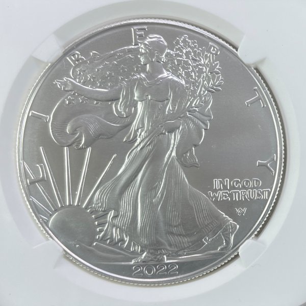 MS70 アメリカ 0 2022年 アメリカン シルバー イーグル NGC (W) First