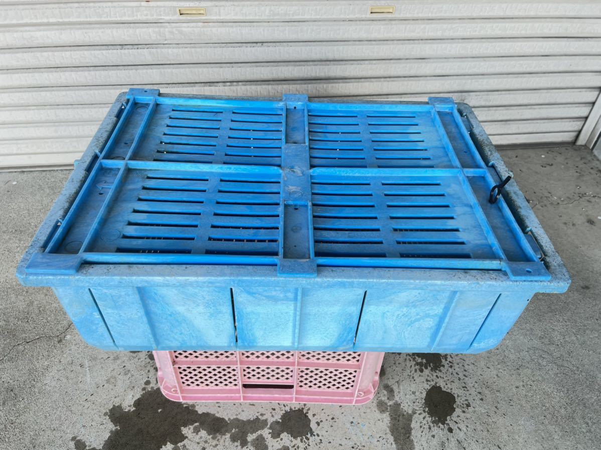 絶版品 ウキコン 錦鯉 金魚 メダカ等の隔離 飼育に 輸送前のエサ切に 錦鯉 売買されたオークション情報 Yahooの商品情報をアーカイブ公開 オークファン Aucfan Com