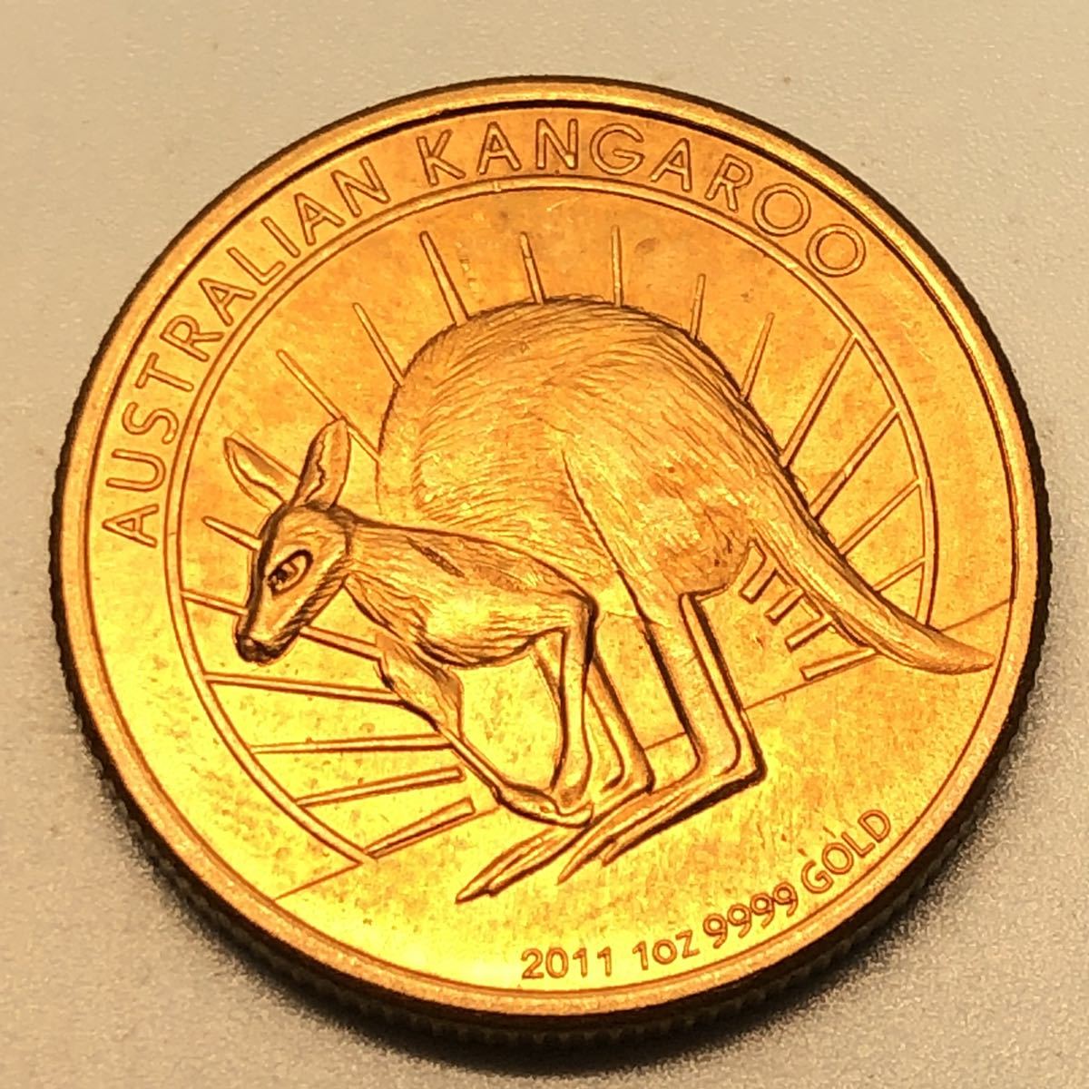 アンティーク オーストラリア カンガルー金貨 100ドル 骨董 エリザベス女王 コイン硬貨 古銭 オセアニア 売買されたオークション情報 Yahooの商品情報をアーカイブ公開 オークファン Aucfan Com