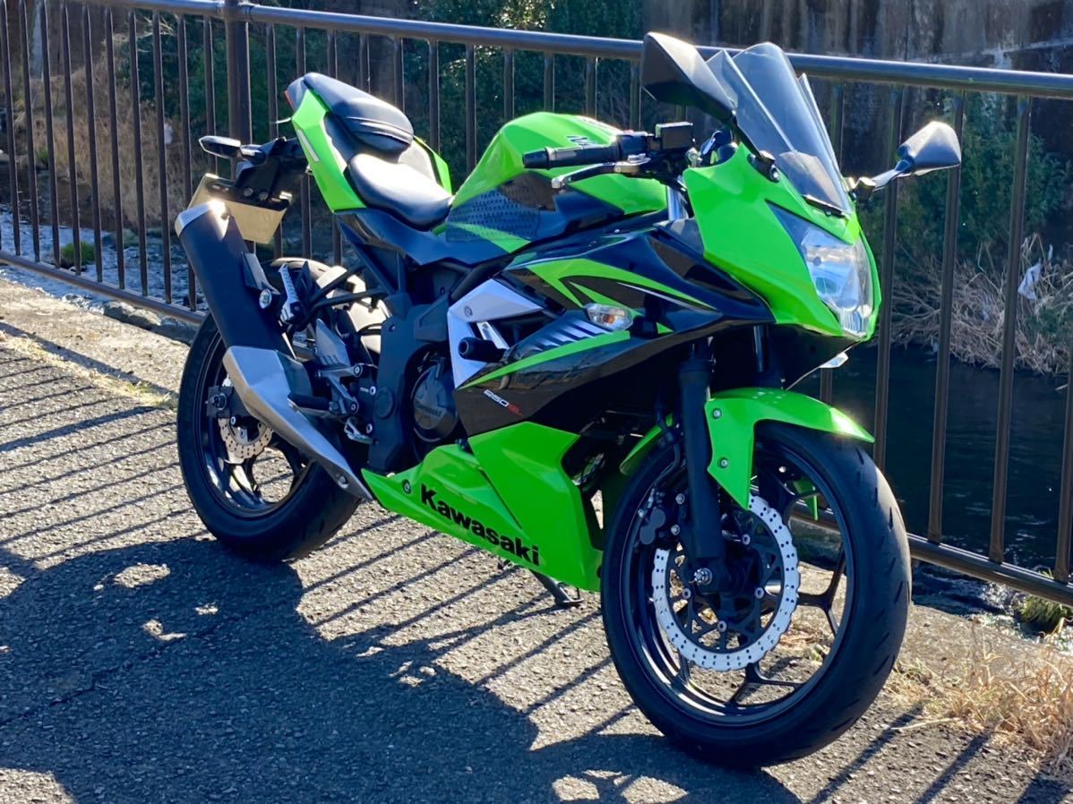 アリ様　購入専用ページ ninja250SL 実働 10，459km カスタム多数 不具合無し 走る止まる曲がる