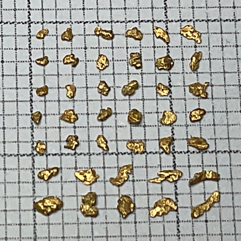 砂金40粒 砂金40粒