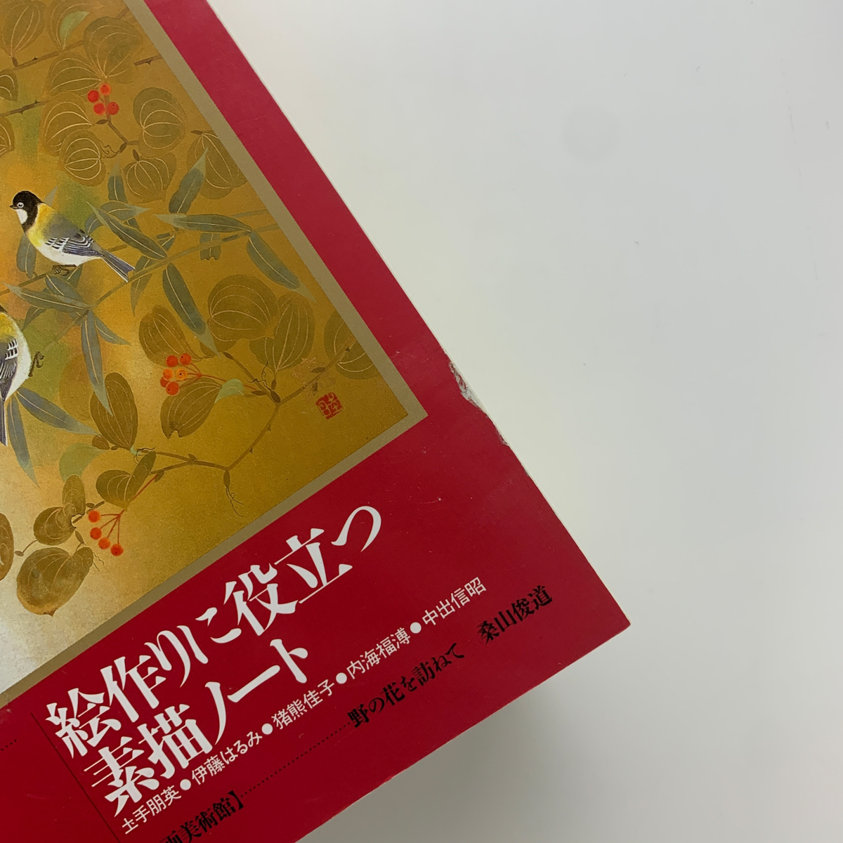 人気作家に学ぶ 日本画の技法1-12巻セット 同朋舎出版(技法書)｜売買