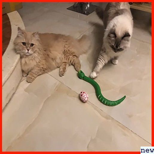 猫 猫のおもちゃの活動 猫のおもちゃ楽しい ネコ たずら玩具 ゃらし おもちゃ ねこ ラジコン おもちゃ 352 おもちゃ 売買されたオークション情報 Yahooの商品情報をアーカイブ公開 オークファン Aucfan Com 猫 猫のおもちゃの活動 猫のおもちゃ楽しい ネコ たずら玩具 ゃらし おもちゃ ねこ ラジコン おもちゃ 352 おもちゃ 売買されたオークション情報 Yahooの商品情報をアーカイブ公開 オークファン Aucfan Com