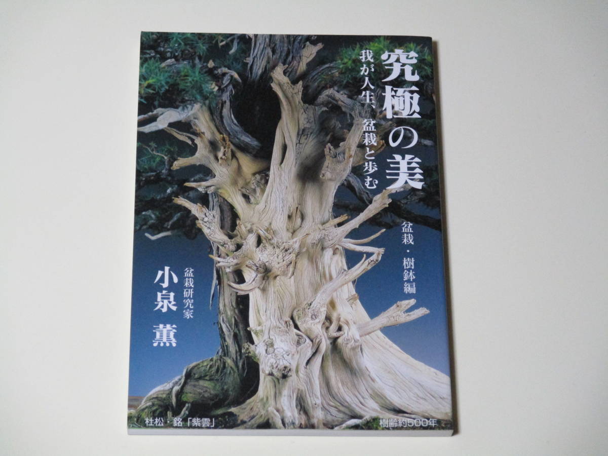 小泉 薫 便り 水石 先生『究極の美』盆栽飾り道具 : 雨竹 盆栽 IBC岩手
