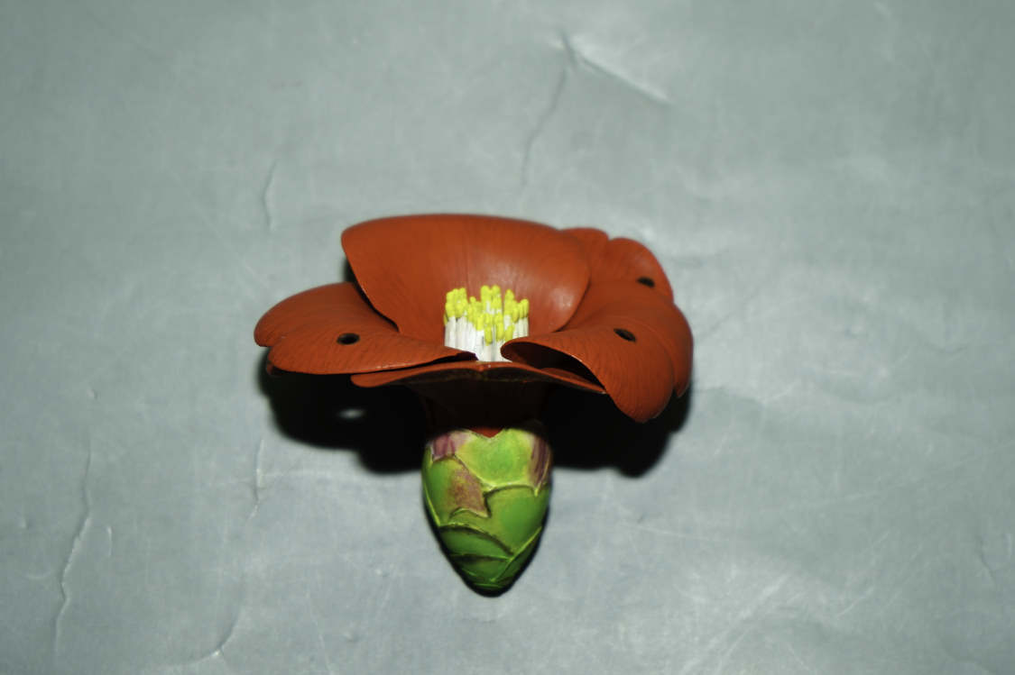 ハンドメイド 木彫り 収納ボックス 椿 お花 ハンドメイド 木彫り 収納ボックス 椿 お花 木彫り（ウッドカービング