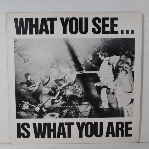 高品質，2026 L01/LP/Alternative TV / Here And Now - What You See... Is What You Are/UK DLP 02(一般)｜売買されたオークション情報、yahooの商品情報をアーカイブ公開 - オークファン 一般