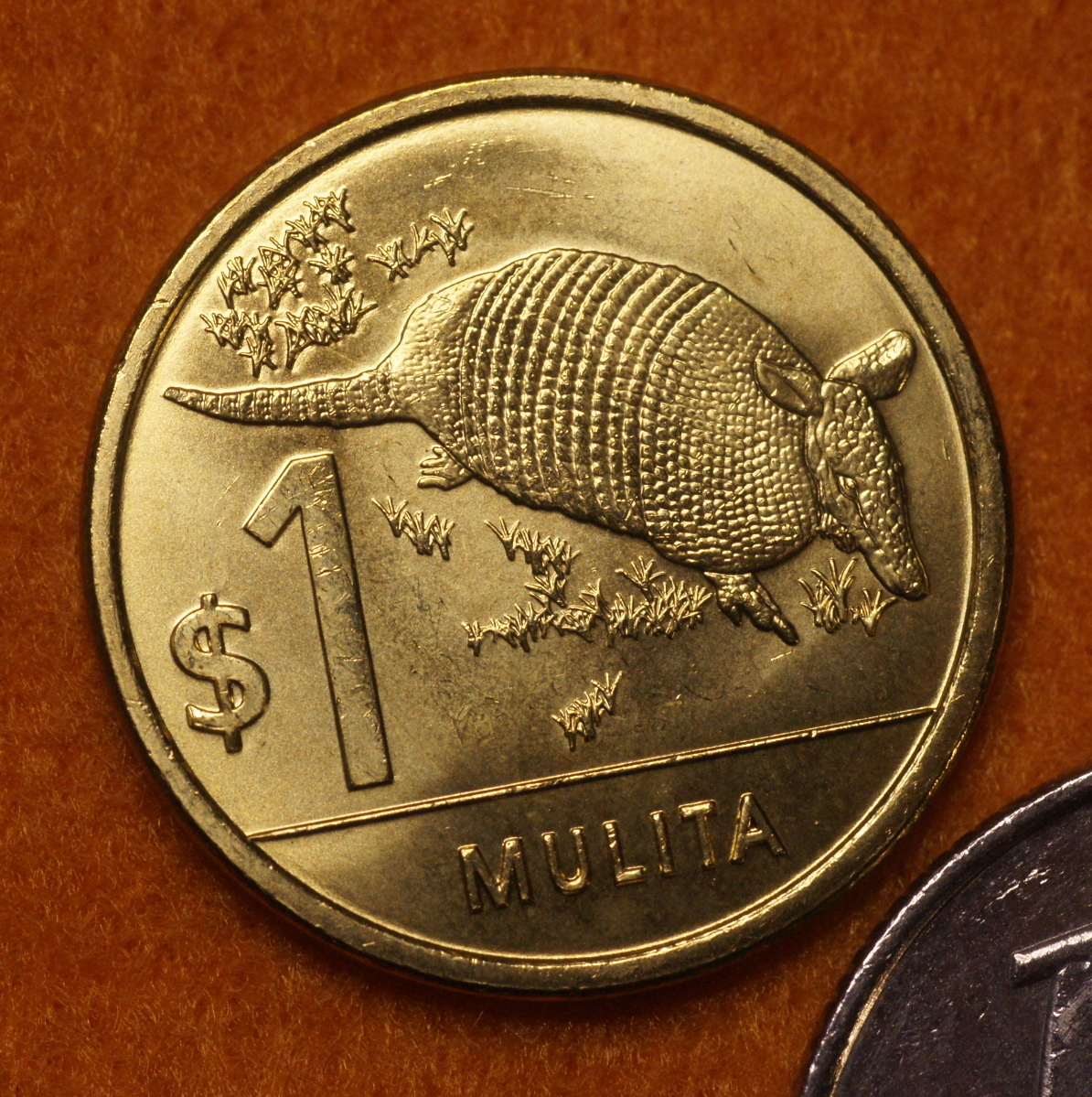 ☆未使用☆アルマジロのコイン☆ウルグアイ1ペソ 自然動物相記念硬貨