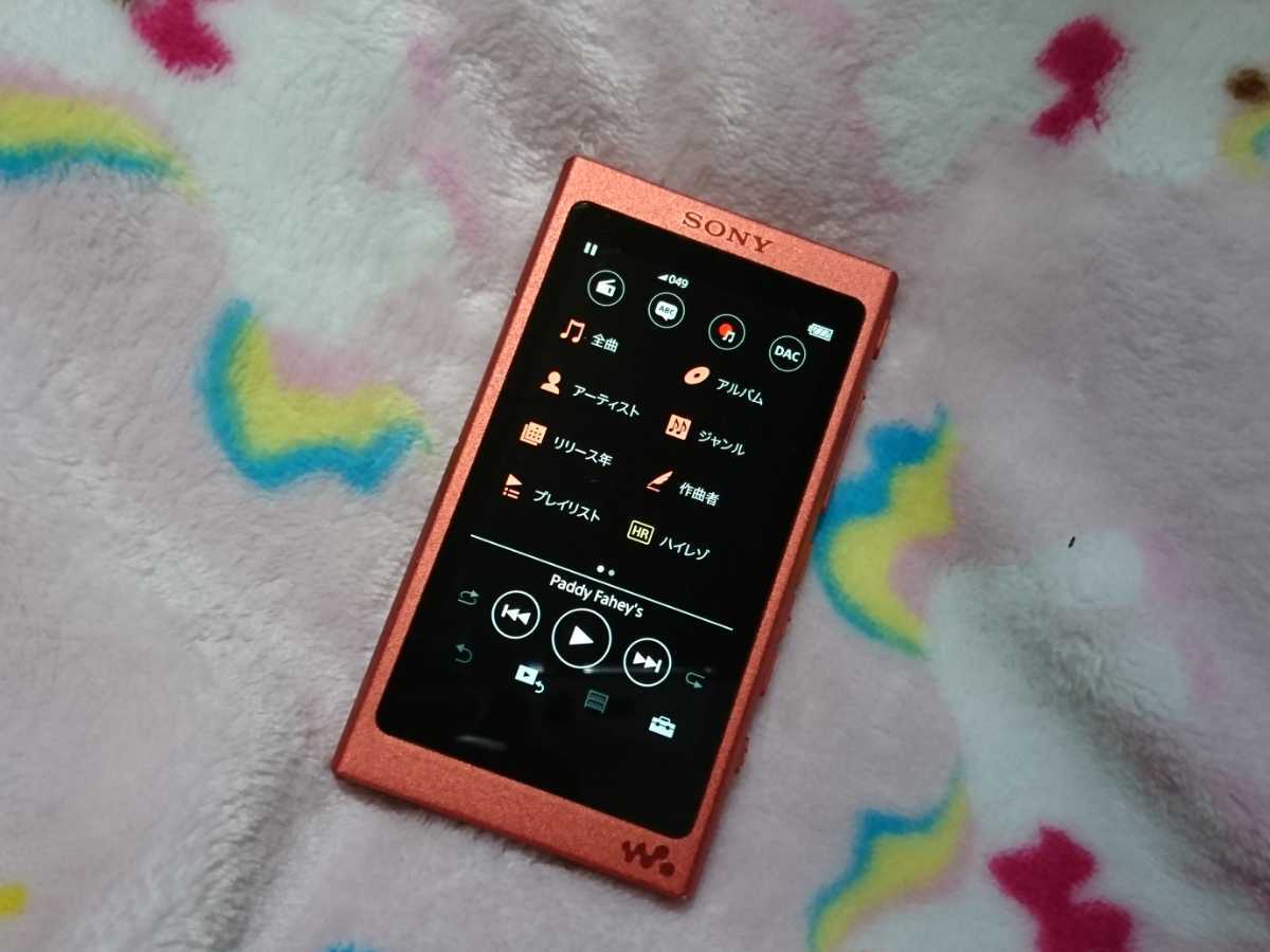 NW-A45 SONY Walkman 16GB ウォークマン 本体 おまけ付 美品WALKMAN 