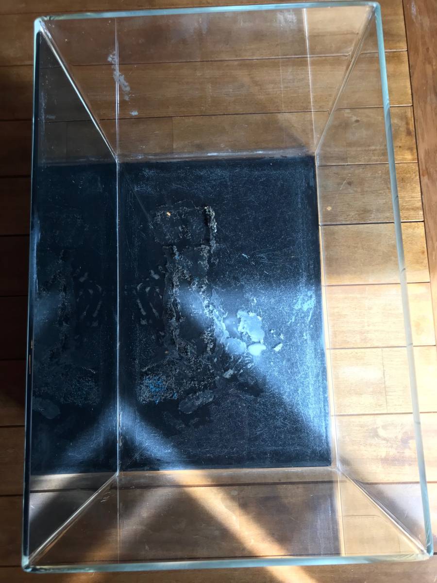 アクアデザインアマノ Ada 水槽 キューブガーデン スペリア ４５ ３０ ３０ 45cm 売買されたオークション情報 Yahooの商品情報をアーカイブ公開 オークファン Aucfan Com