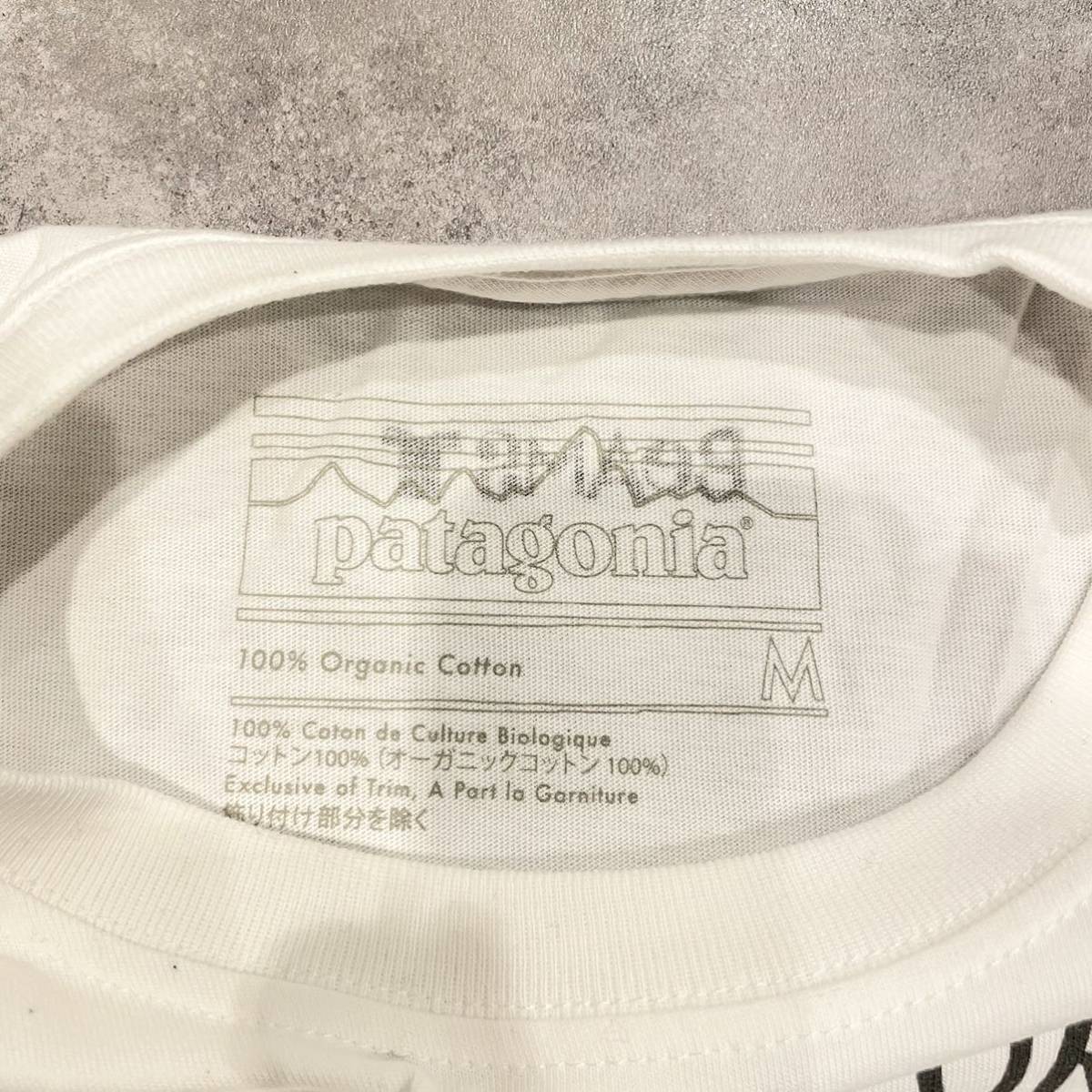 超希少】 花井祐介 hanai yusuke パタゴニア Patagonia ビームス BEAMS 