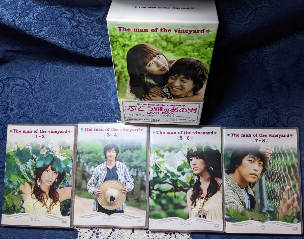 DVD ぶどう畑のあの男 DVD-BOX 韓流ドラマ 8枚組 全16話
