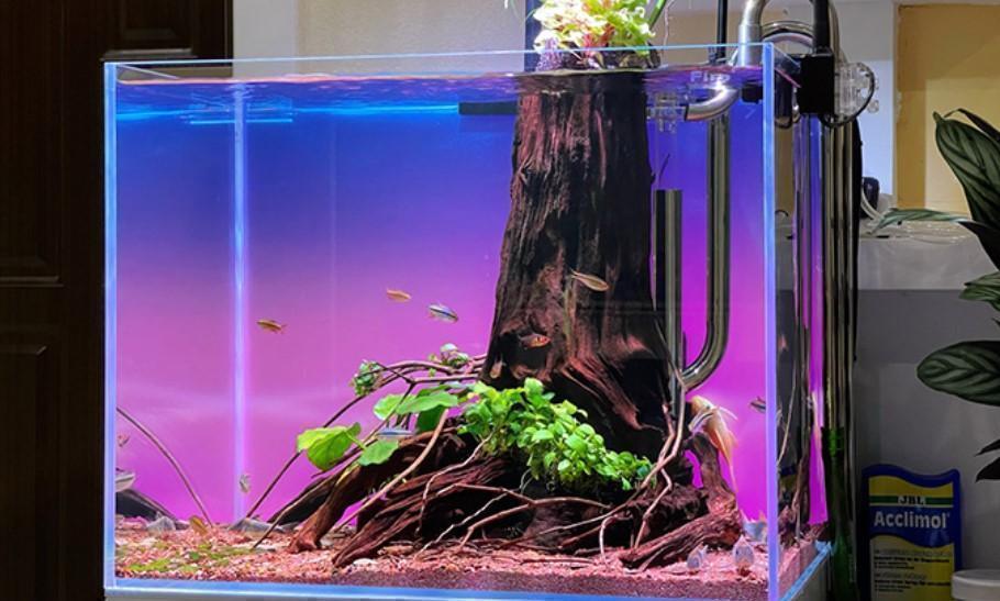 魚用品・水草 45cm水槽 WRGB バックライトスクリーン バックスクリーン LED