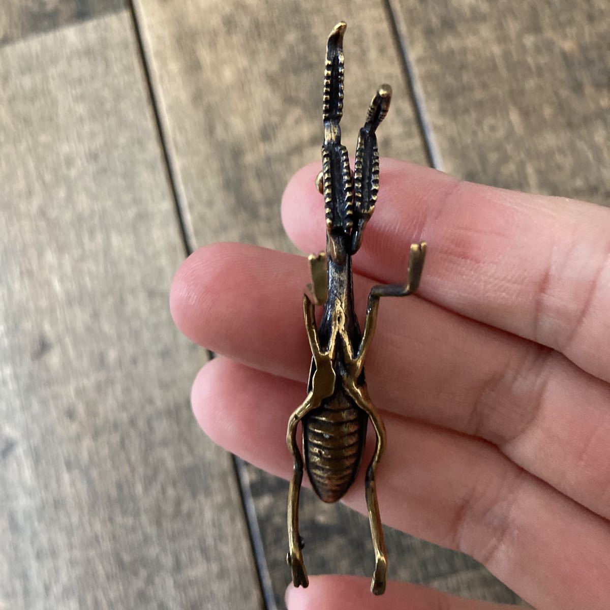 カマキリ 真鍮 フィギュア 金運 置物 インテリア 文鎮 風水 置物 売買されたオークション情報 Yahooの商品情報をアーカイブ公開 オークファン Aucfan Com