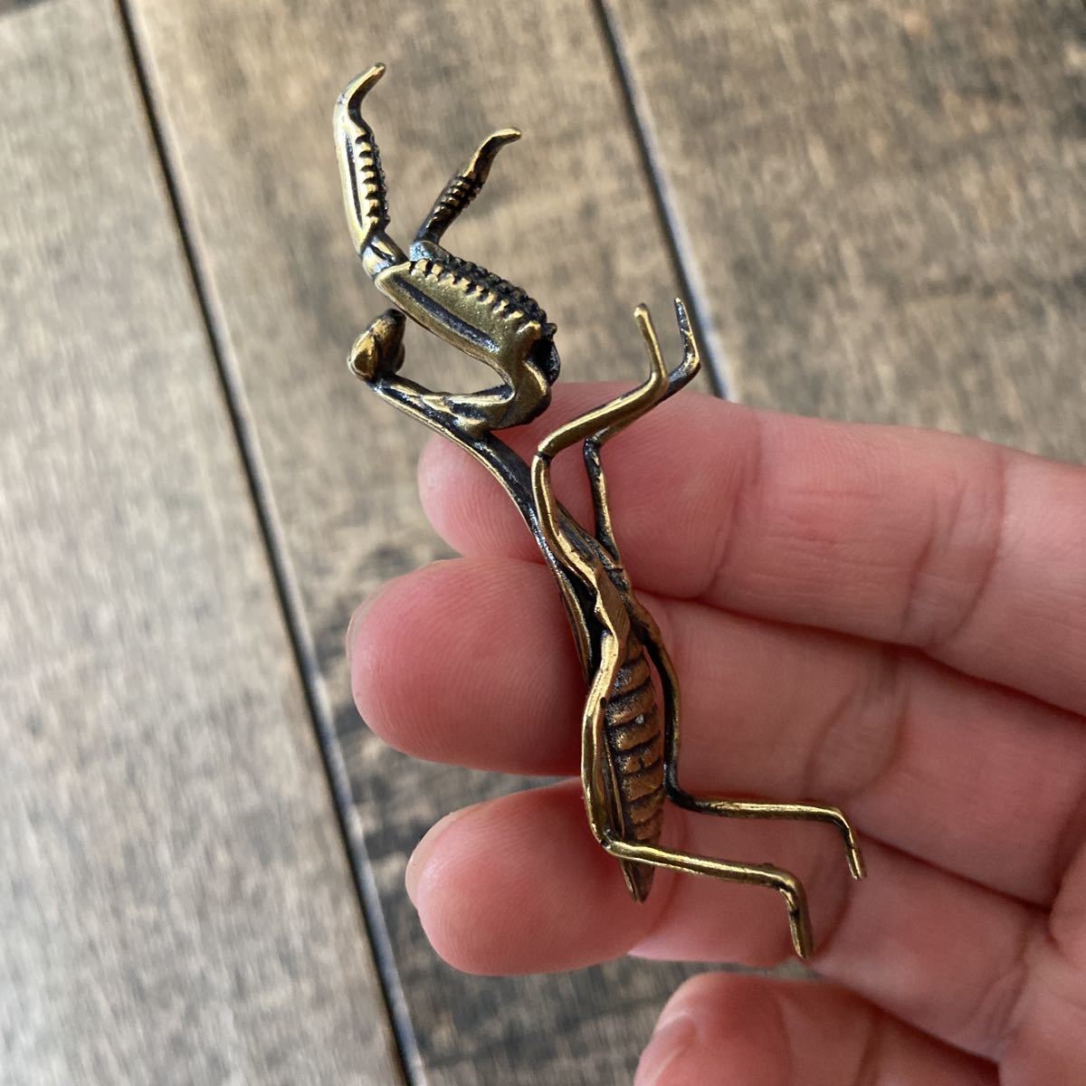 カマキリ 真鍮 フィギュア 金運 置物 インテリア 文鎮 風水 置物 売買されたオークション情報 Yahooの商品情報をアーカイブ公開 オークファン Aucfan Com