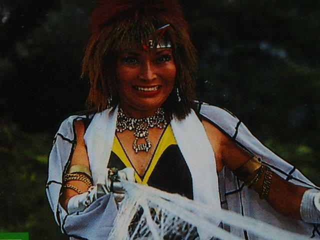 絵本 世界忍者戦ジライヤ6 筒井巧 関口めぐみ 曽我町子さん 東映 絵本一般 売買されたオークション情報 Yahooの商品情報をアーカイブ公開 オークファン Aucfan Com