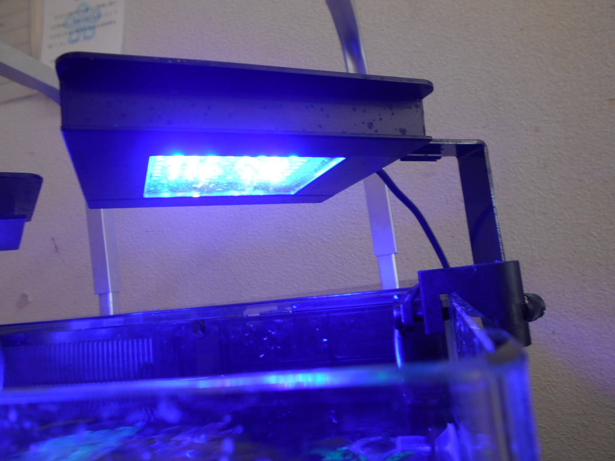 新品未使用 GEX FLUVAL MARINE NANO SEA 海水専用 サンゴ 照明 LED 