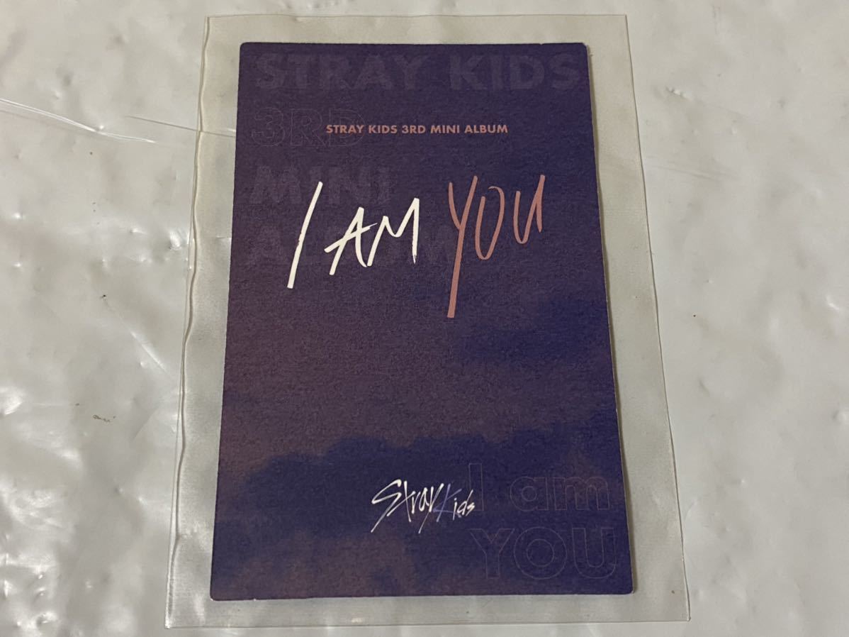 StrayKids I am YOU 限定盤 バンチャン トレカ スキズ 紫枠 即決