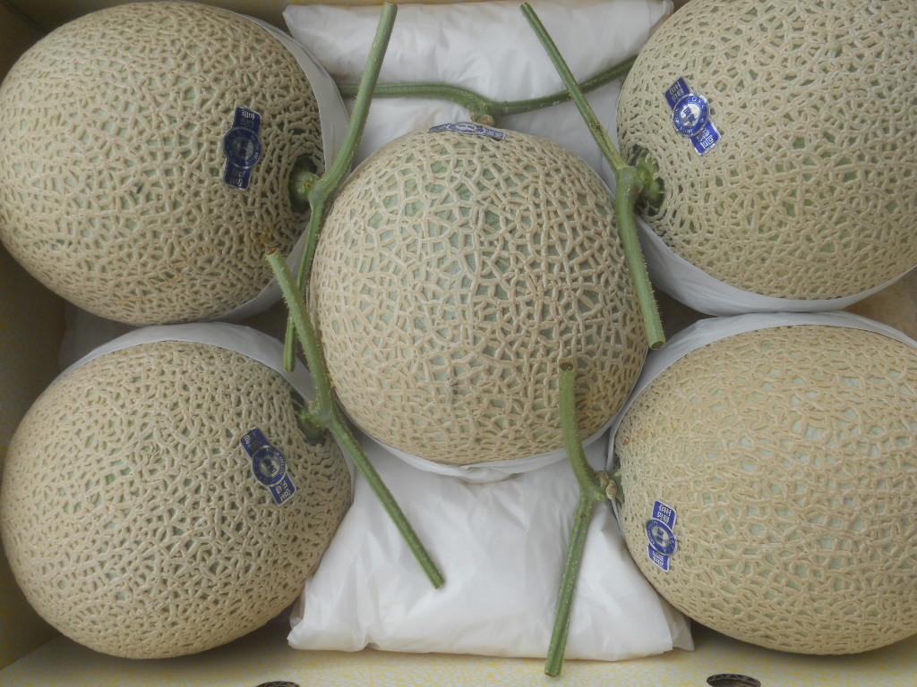 ☆送料無料 ☆約9，3kg 高知産 マスクメロン 5玉入