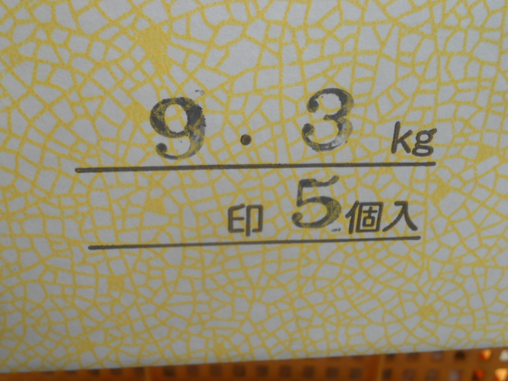 ☆送料無料 ☆約9，3kg 高知産 マスクメロン 5玉入