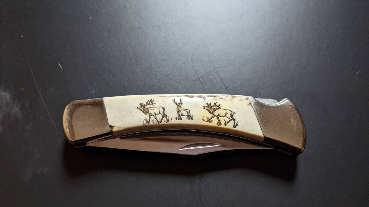 BUCKバック ナイフ110 廃盤限定モデル 90/500本 カスタム  