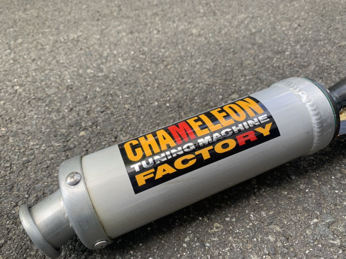 CHAMELEON FACTORY カメレオンファクトリー パラ カメレオン