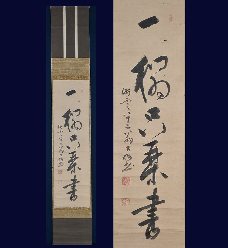 ちゃむページ ちゃむページ ちゃむ チャム XIOM Hayabusa Zx - Megaspin