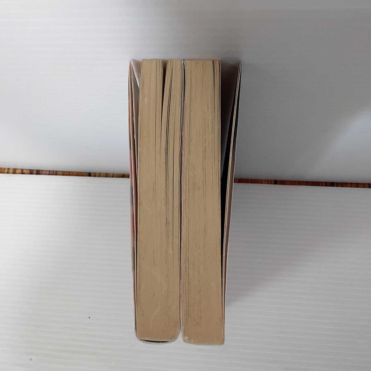 2205iCo13 まとめ売り 天外君の華麗なる悩み 全2巻 初版 真倉翔 集英社  