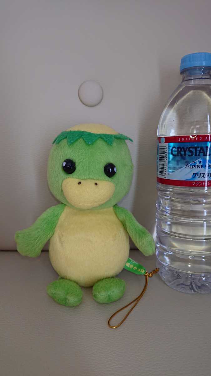 鳴きかっぱ カッパ ぬいぐるみ その他 売買されたオークション情報 Yahooの商品情報をアーカイブ公開 オークファン Aucfan Com 鳴きかっぱ カッパ ぬいぐるみ その他 売買されたオークション情報 Yahooの商品情報をアーカイブ公開 オークファン Aucfan Com