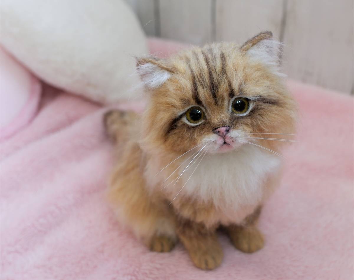 羊毛フェルト チンチラゴールデン 猫 子猫 felting ハンドメイド 手 