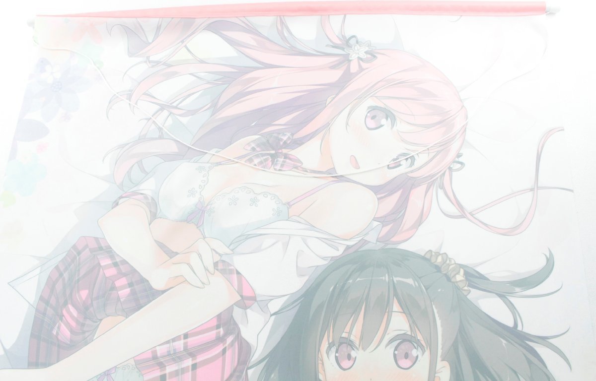 中古・現状品】軸中心派 カントク B0タペストリー くるみ しずく 神絵