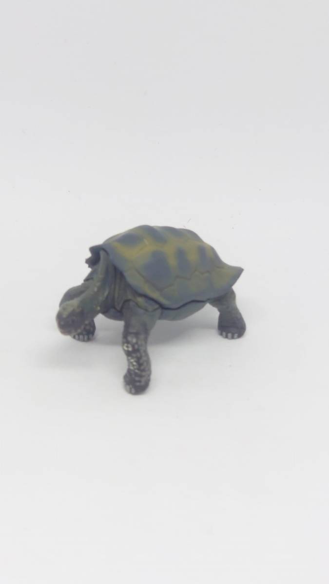 されていま ヤフオク チョコq アニマテイルズ どうぶ ヤフオク