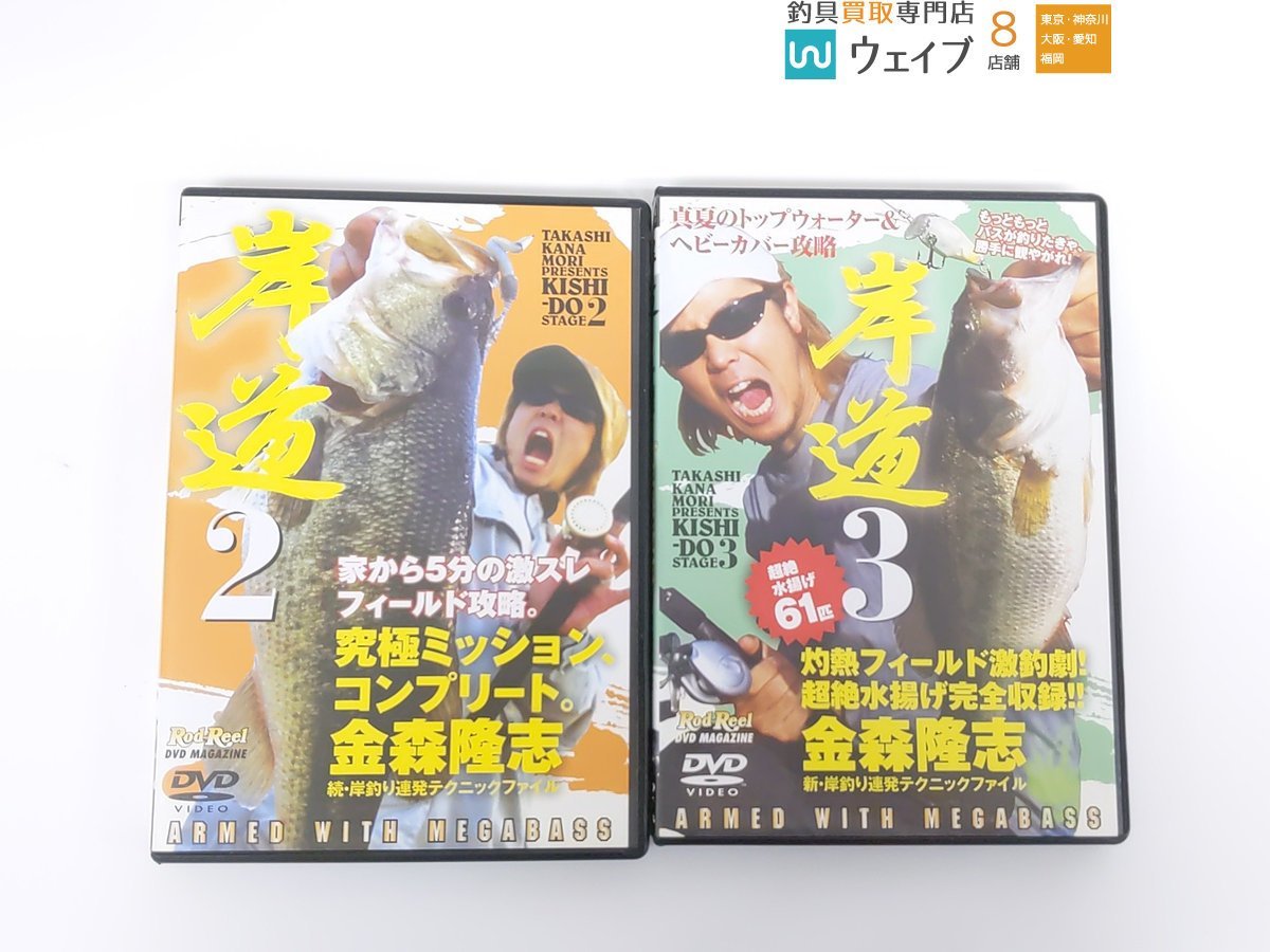 金森隆志 レイドジャパン メガバス ルアーマガジン ロッド＆リール 岸