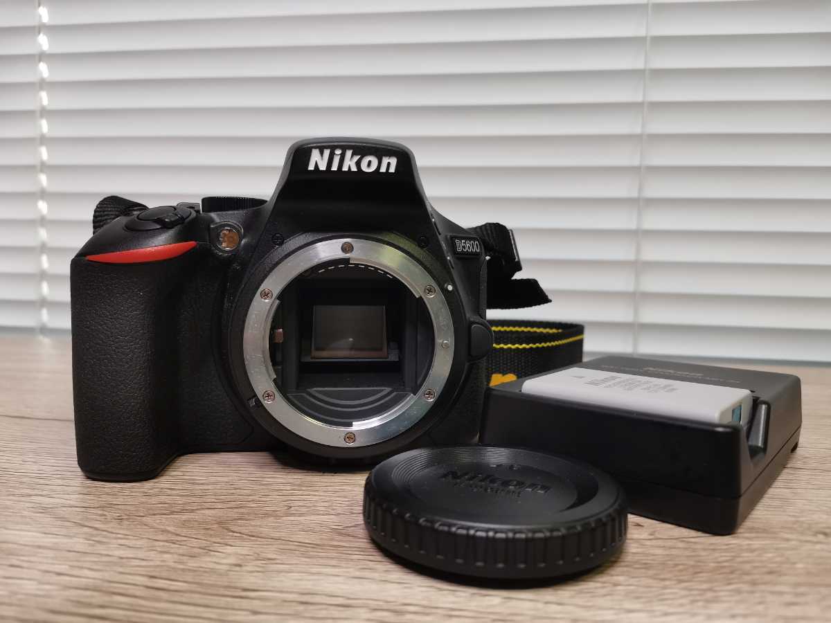 Nikon ニコン D5600 ボディ #14