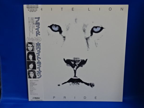 LION WHITE ホワイトライオン プライド PRIDE ホワイト・ライオン