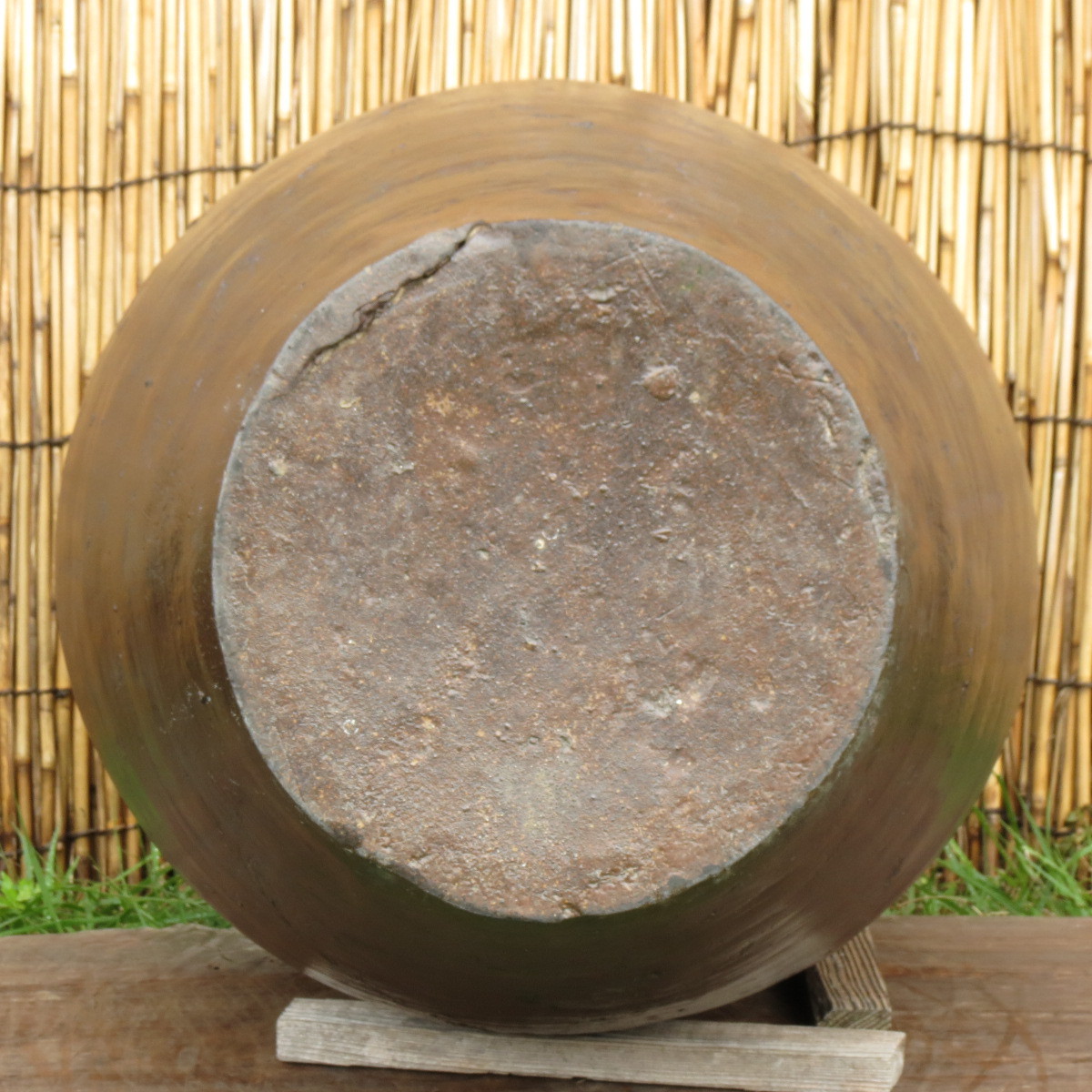 s1055676658.8