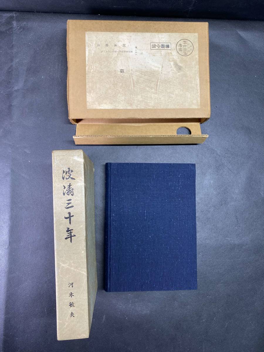 吉岡里帆 ＊ 切り抜き 100ページ ＊