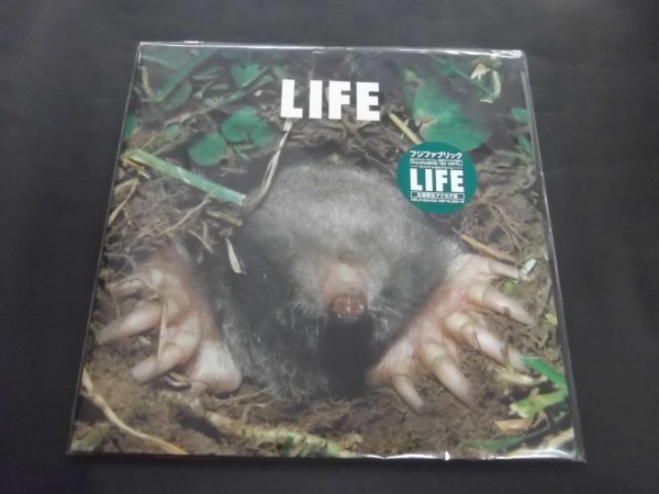  2LP フジファブリック/LIFE 生産限定アナログ 8thアルバム HRLP-034-035(その他)｜売買されたオークション情報、yahooの商品情報をアーカイブ公開 - オークファン は行