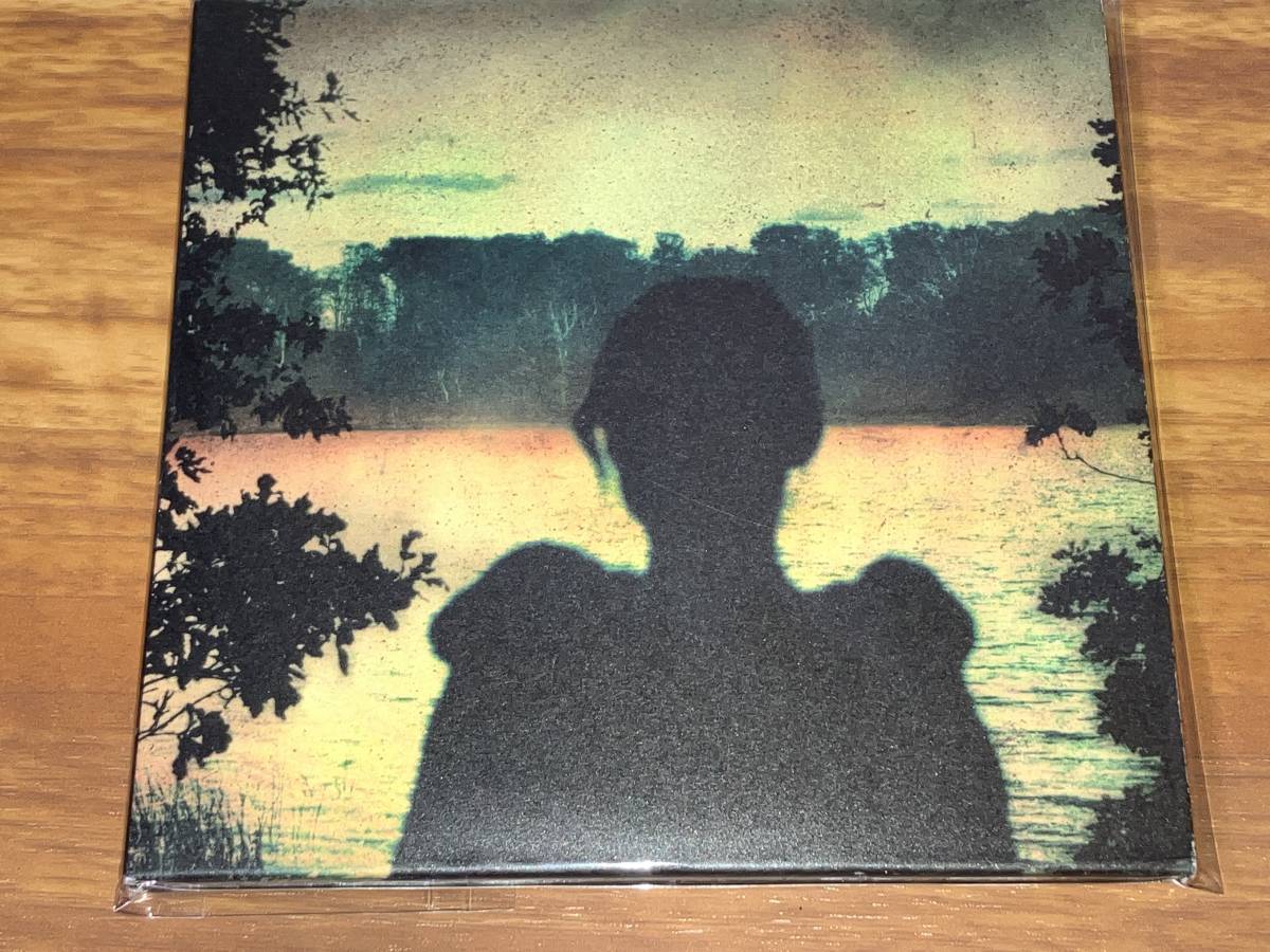ポーキュパイン・ツリー　Porcupine Tree　紙ジャケ12枚 Porcupine Tree 紙ジャケ12枚 ☆ポーキュパイン・ツリー 国内盤4作