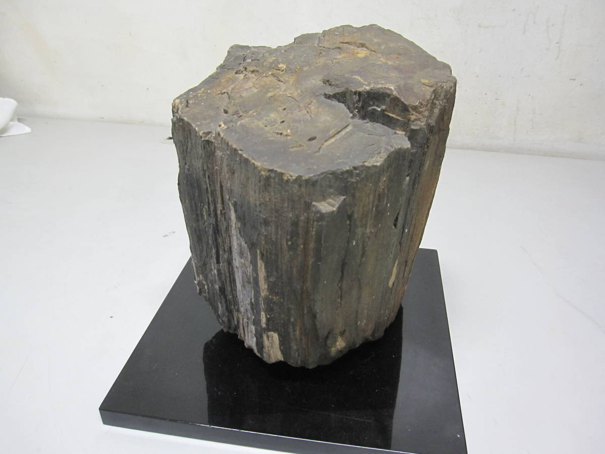 木化石 珪化木 約17㎏ 鑑賞石 観賞石 骨董品 美術品 鑑賞